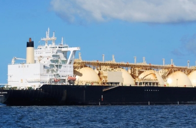 讓我們探討一下哪些地方依賴(lài)干貨船運(yùn)輸貨物？