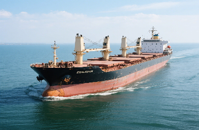 揭秘：散貨船海運(yùn)的奧秘與挑戰(zhàn)！