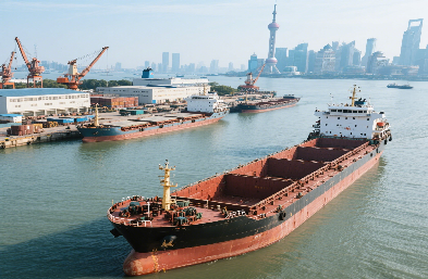 上海散貨船公司：揭秘物流新勢力！