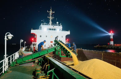 專業(yè)散雜船貨代?覆蓋多港口?全程合規(guī)安全送達